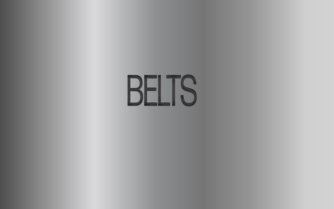 BELTS